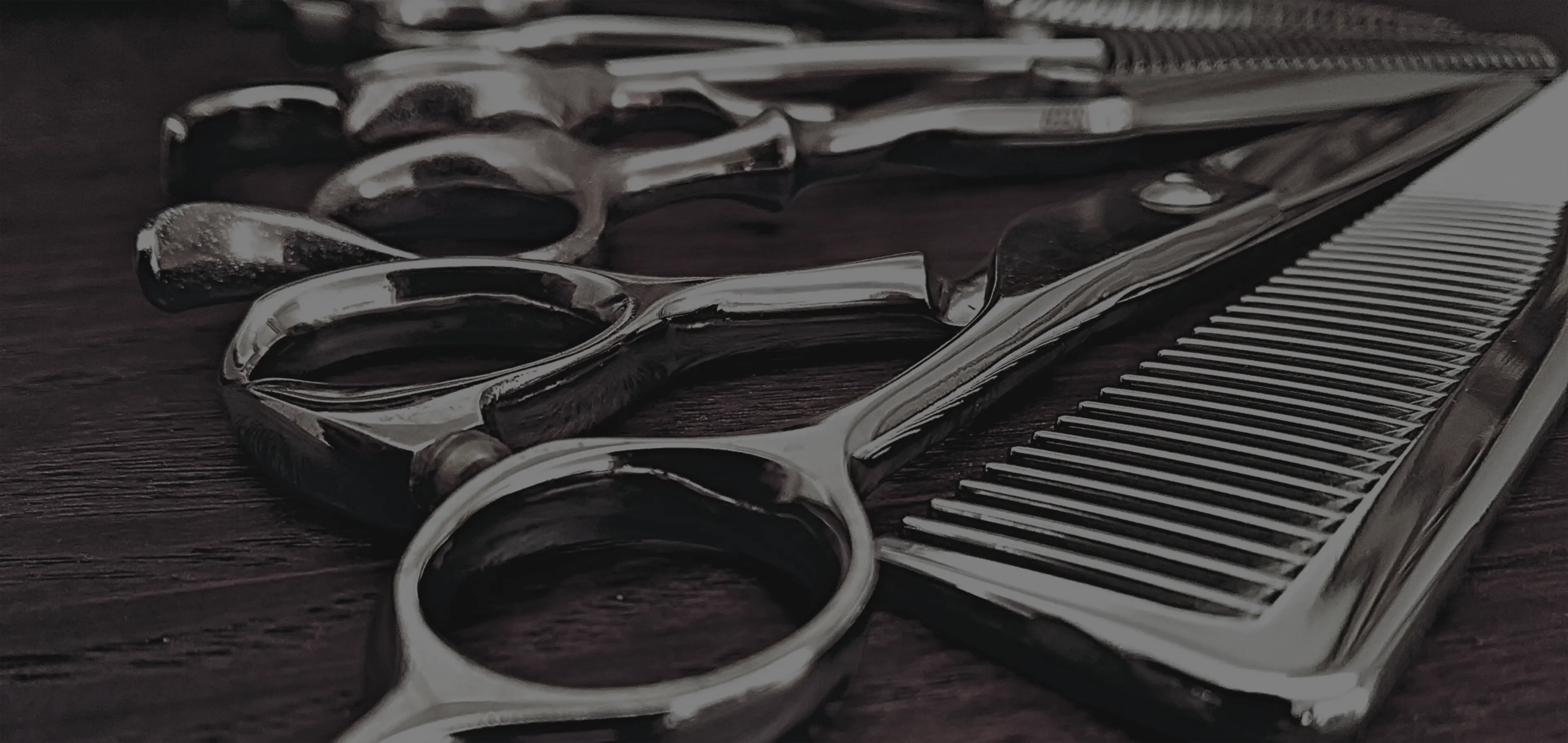 メインヴィジュアル